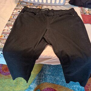 Land's End mid rise pull on skinny jean, 20